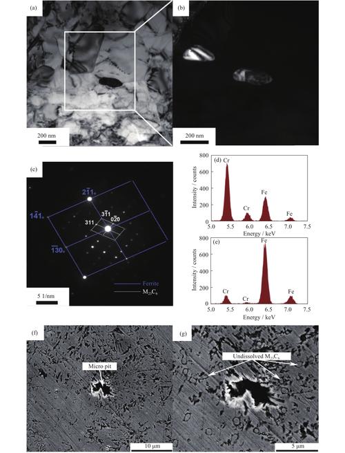 Digital Micro Servo 21T Review: Performance, Durability, and Best Uses